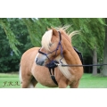 Capal Rope Halter With Leather Nose / Head Protection